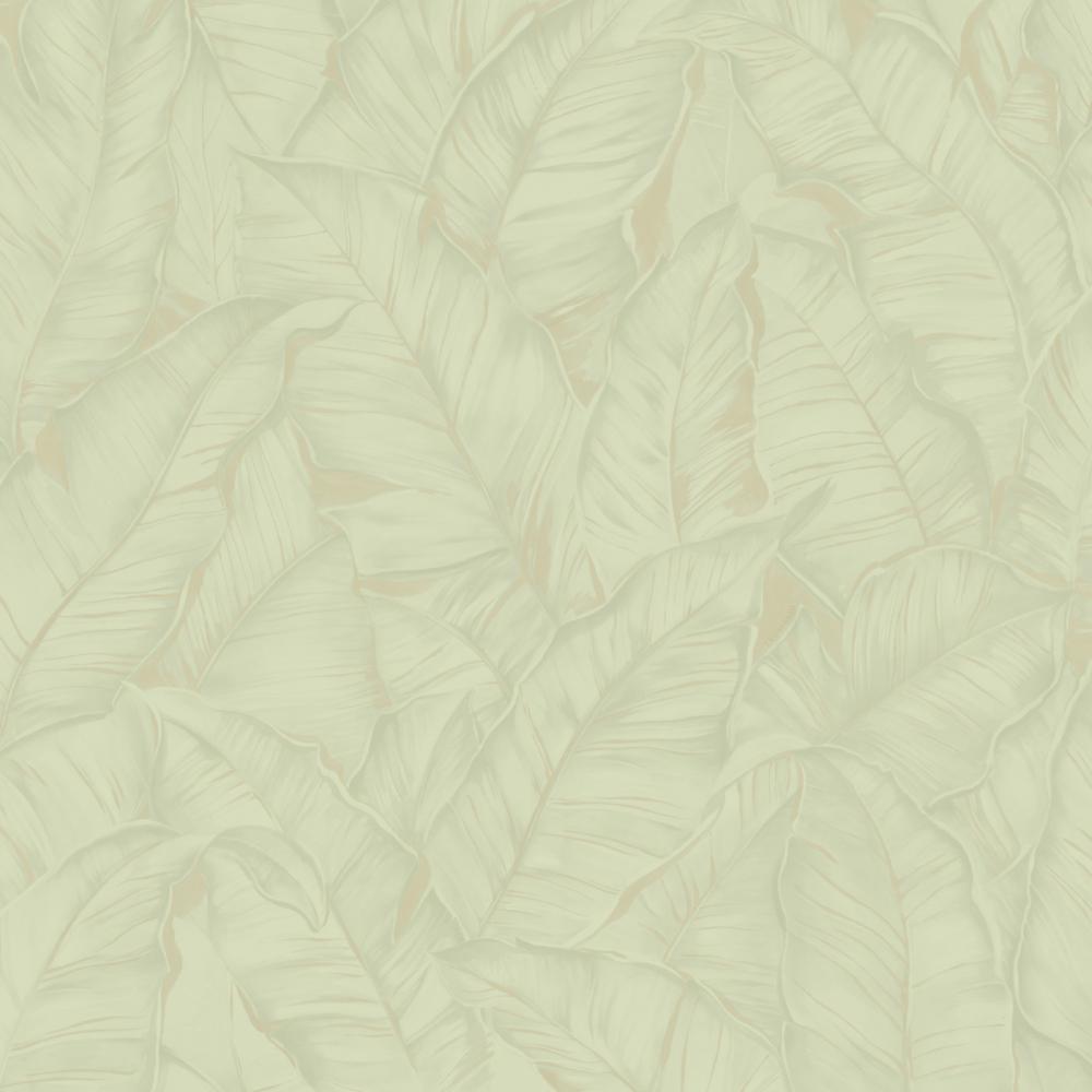 Zambaiti Parati Trussardi Z 30309