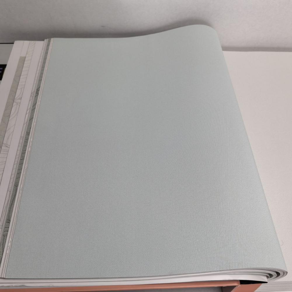 Andrea Rossi Berggi 54450-7