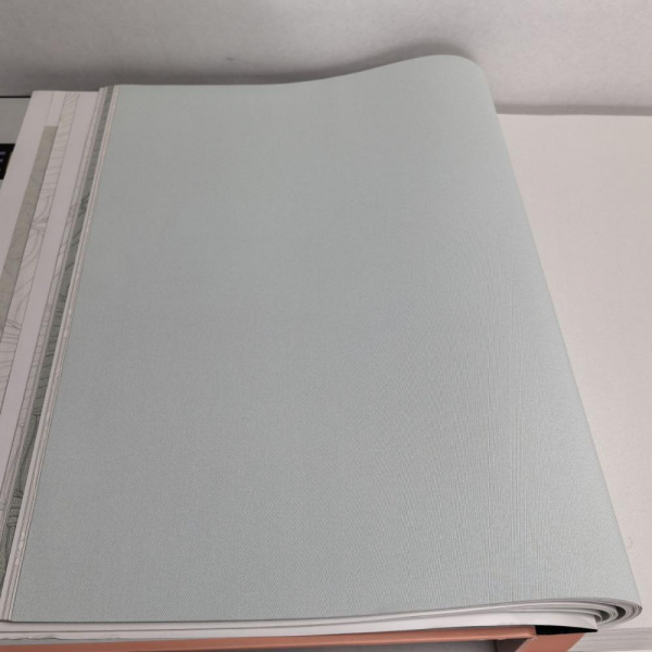 Andrea Rossi Berggi 54450-7