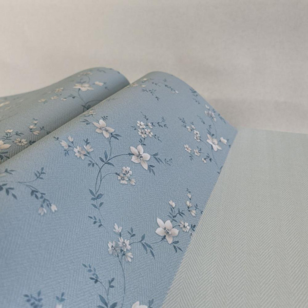 Alessandro Allori Bruni RBN 1001-6