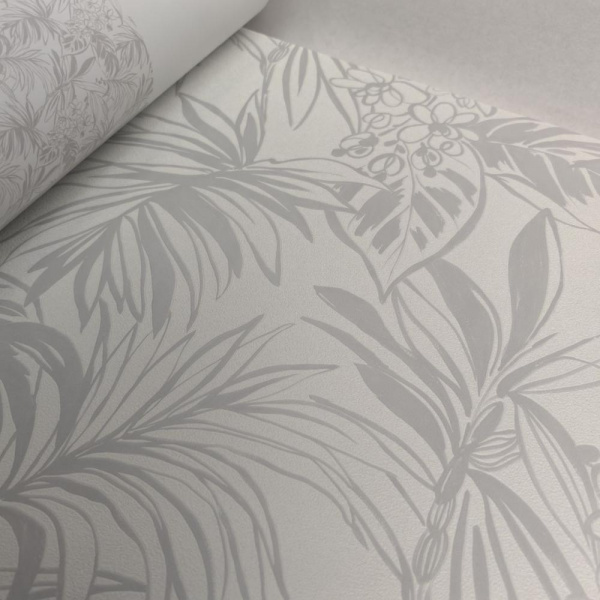 Andrea Rossi Berggi 54446-1