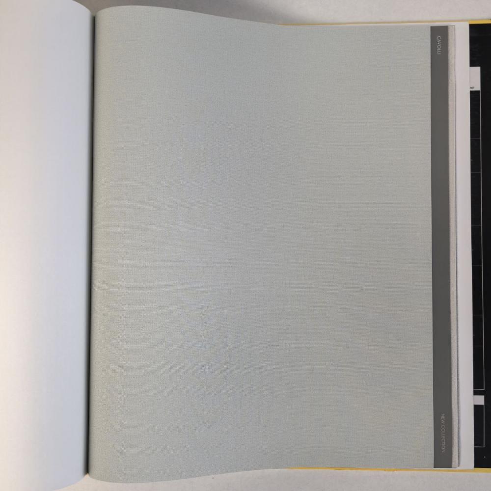 Andrea Rossi Cavolli 54416-9