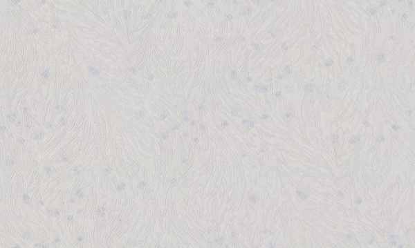 Studio Italia Collection Tesoro TS 10022