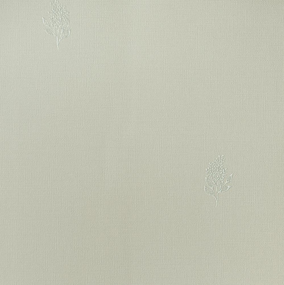 Andrea Rossi Palmaria 54462-1